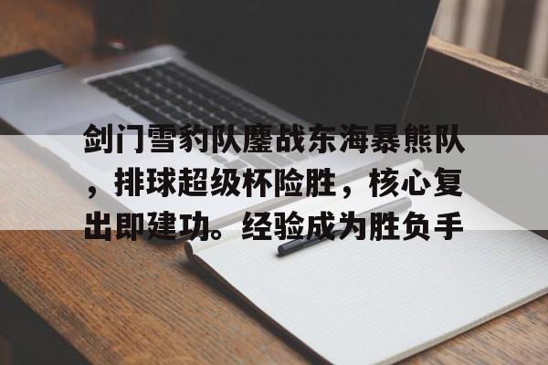 在线体育-关于剑门雪豹队鏖战东海暴熊队，排球超级杯险胜，核心复出即建功。经验成为胜负手的信息